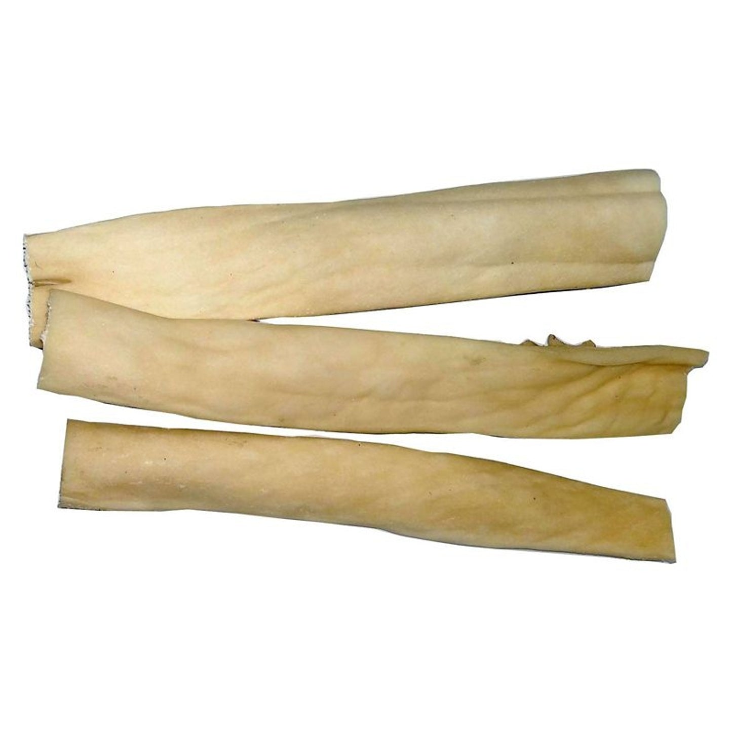 TE047864_724791.jpg