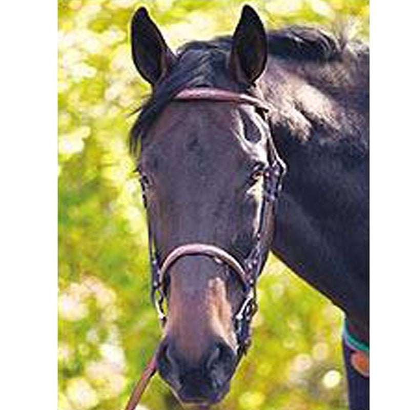 Henri De Rivel Advantage Bridle