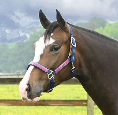 Kensington Breakaway Halter