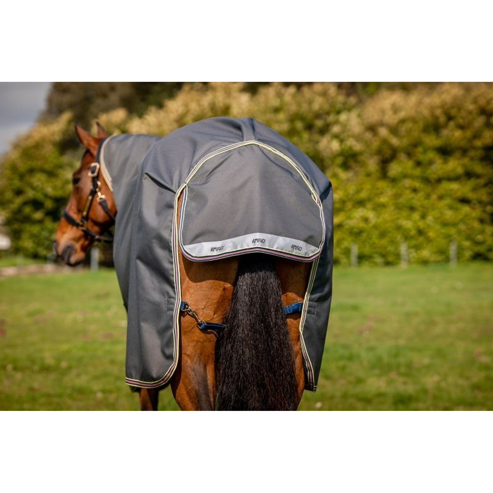 Amigo Bravo 12 Plus Turnout Bundle