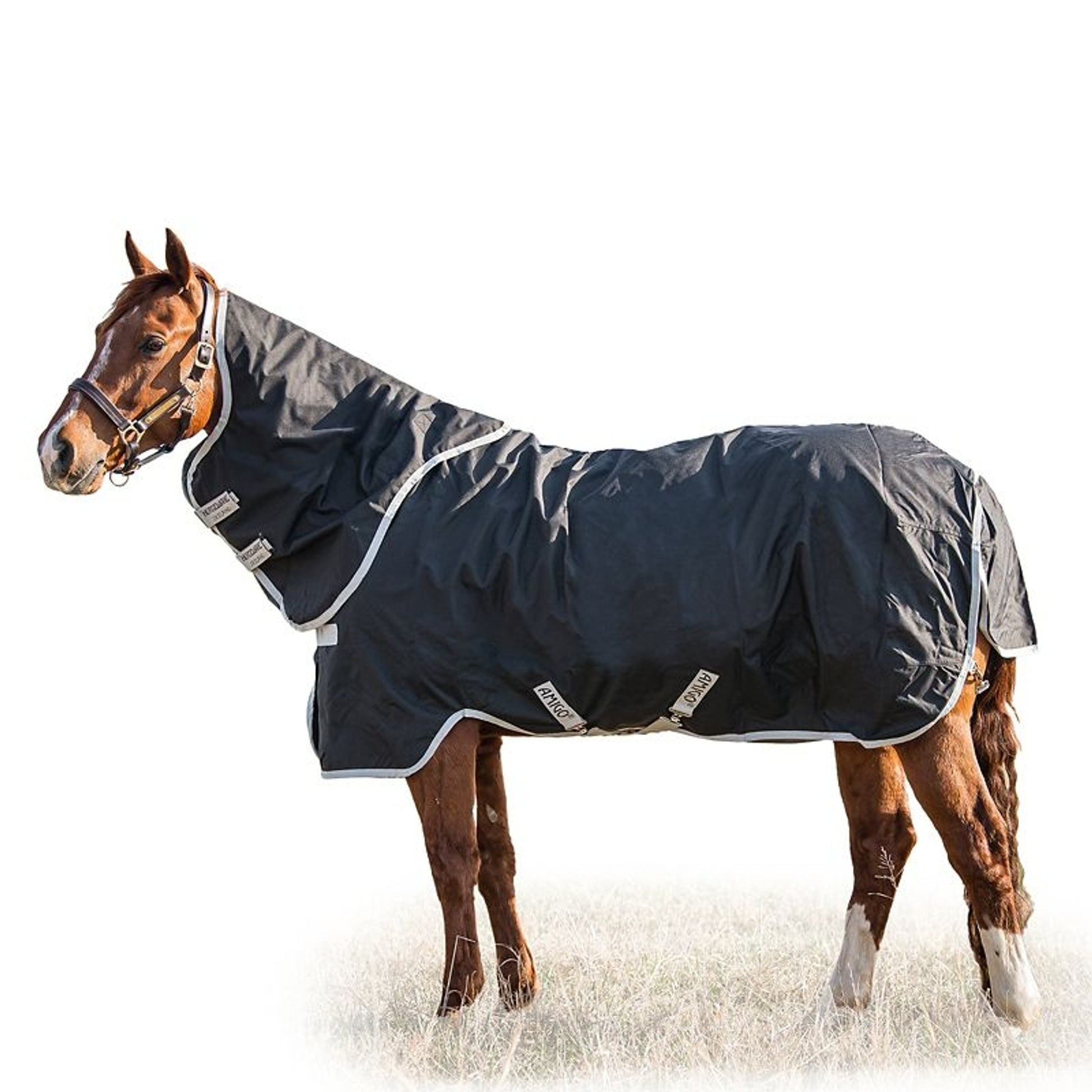 Amigo Stock Horse Plus TO 0g