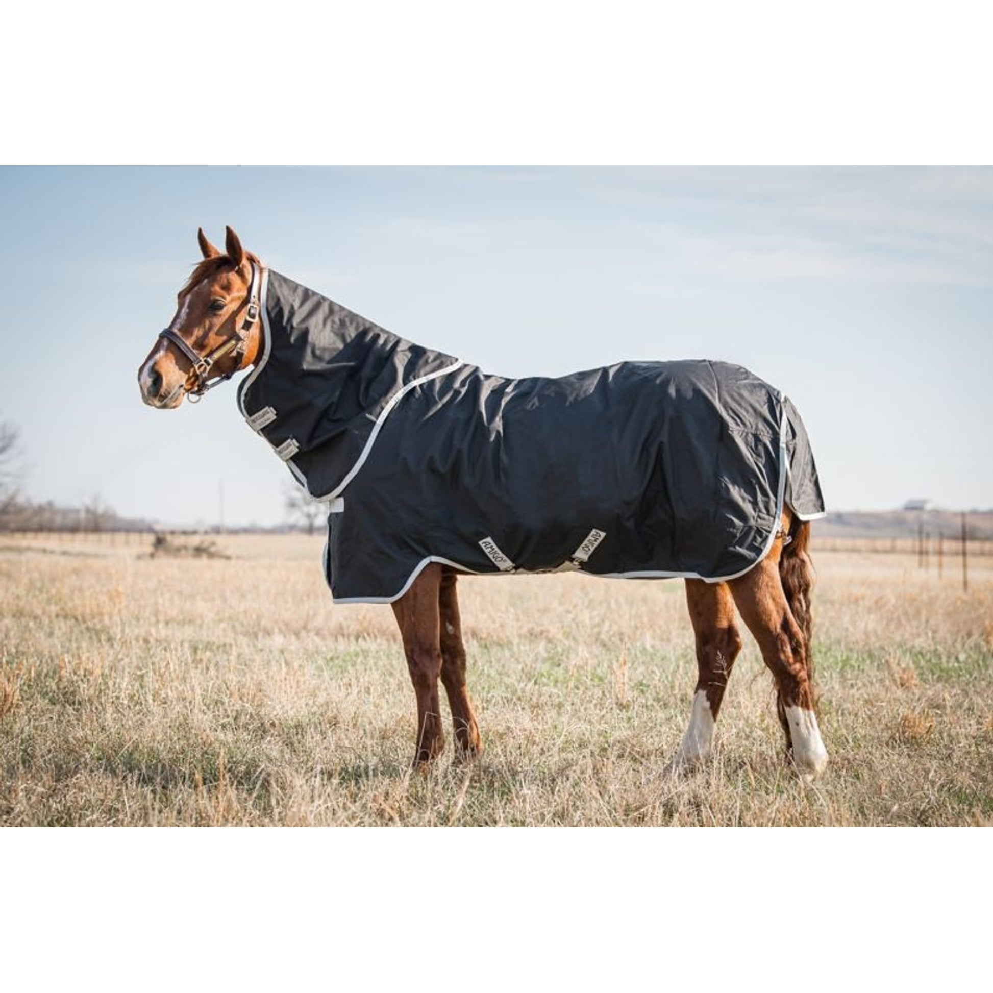 Amigo Stock Horse Plus TO 0g