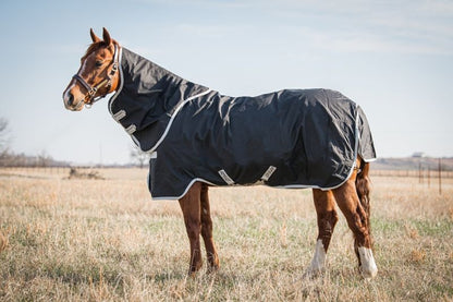 Amigo Stock Horse Plus TO 0g