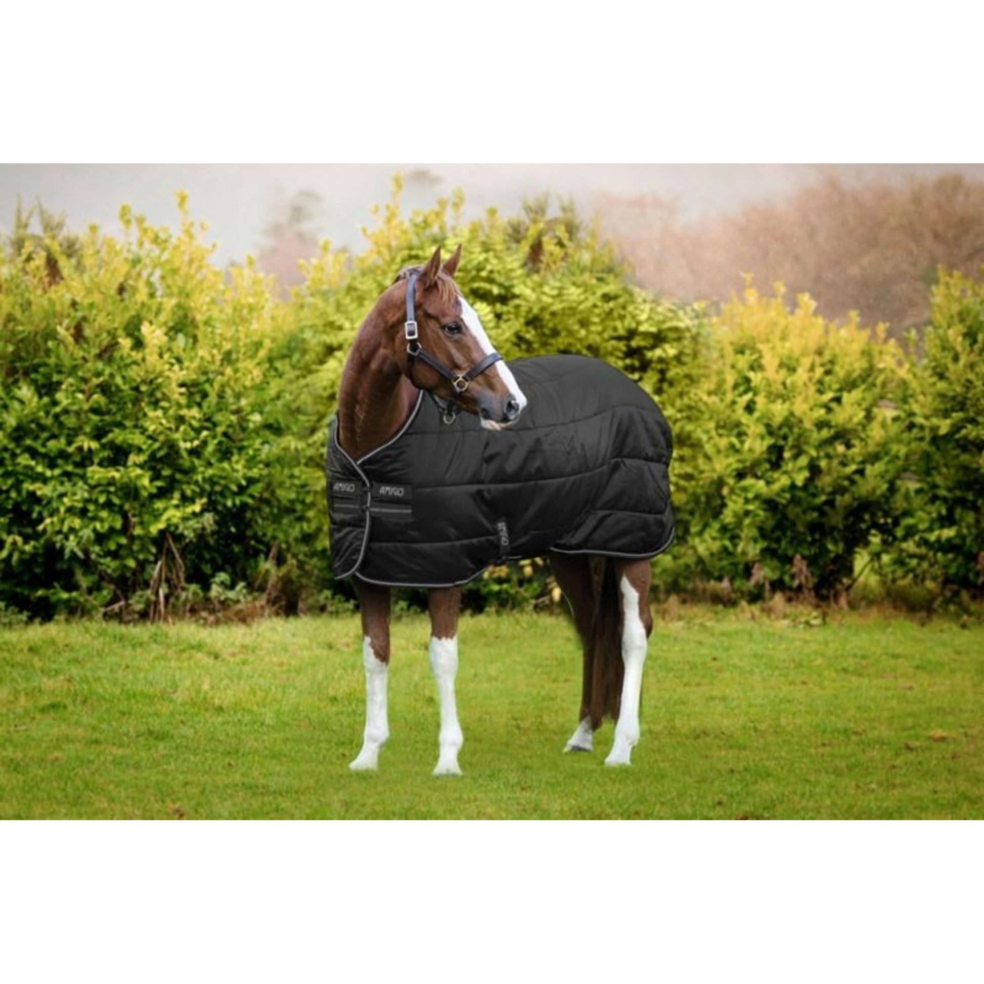 Amigo Diamond Insulator 200g