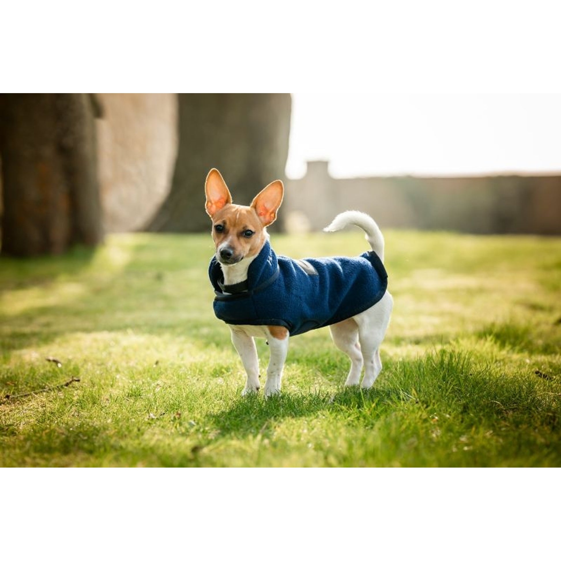 Horseware Signature Dog Fleece