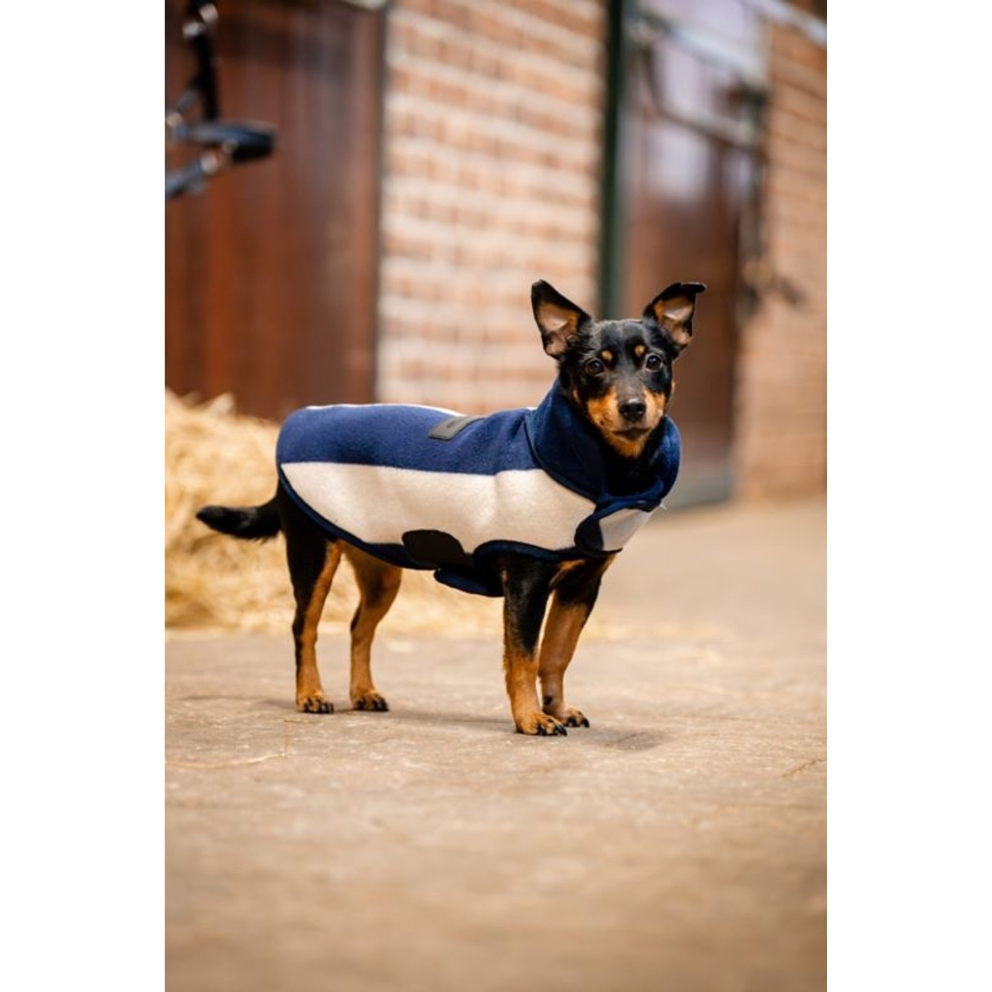 Horseware Signature Dog Fleece