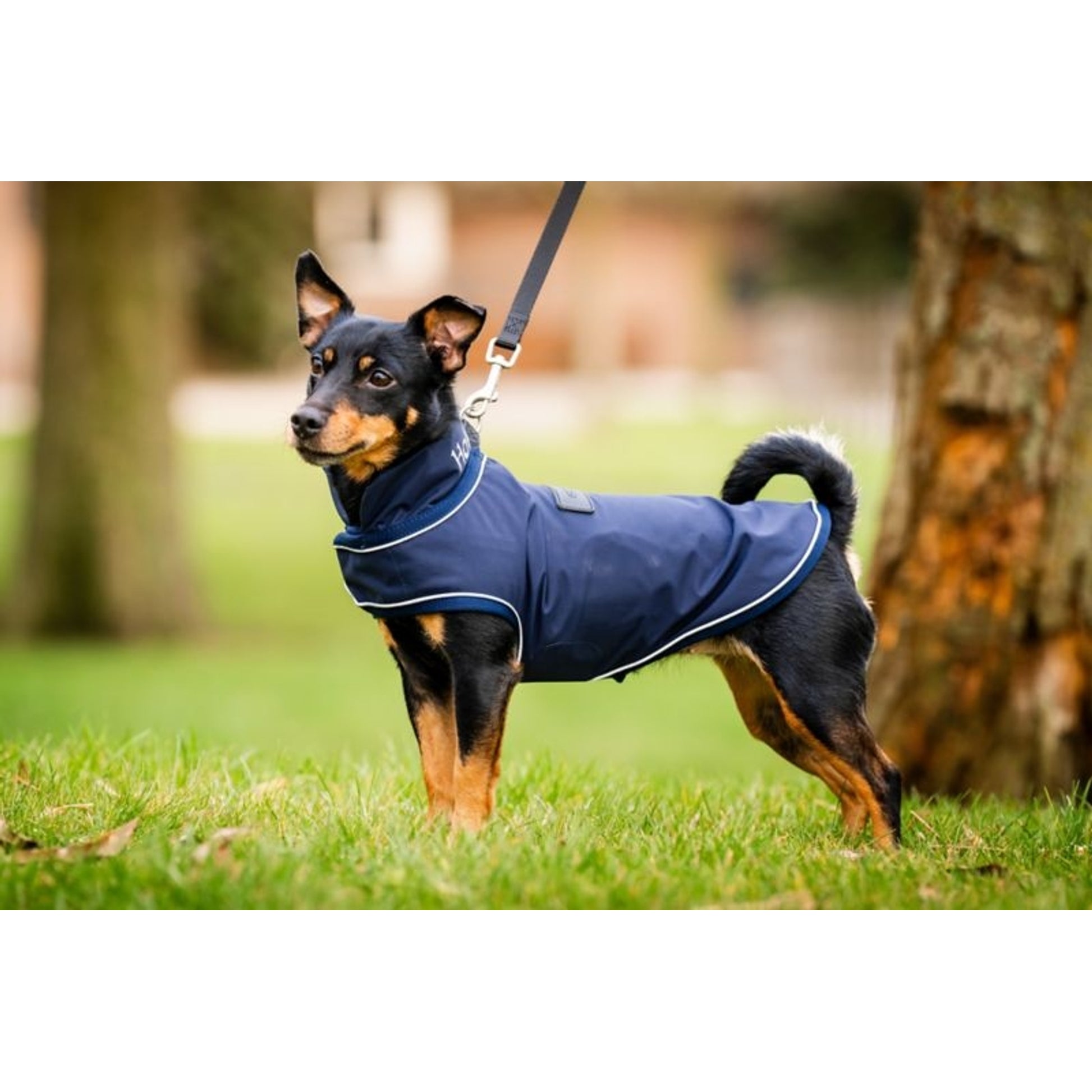 Horseware Signature Dog Rain Coat