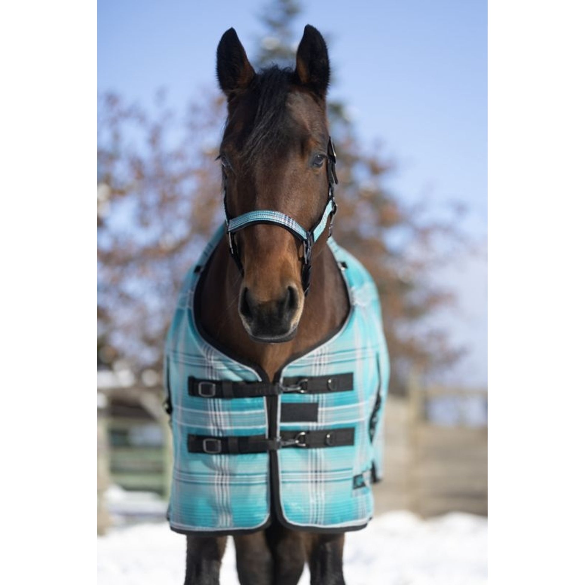 Kensington SuperMesh Turnout 300G
