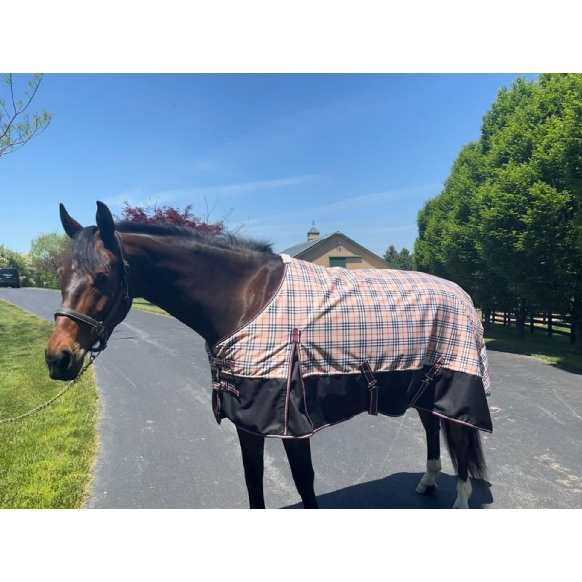 TuffRider 1200D Comfy Plaid TO 200g