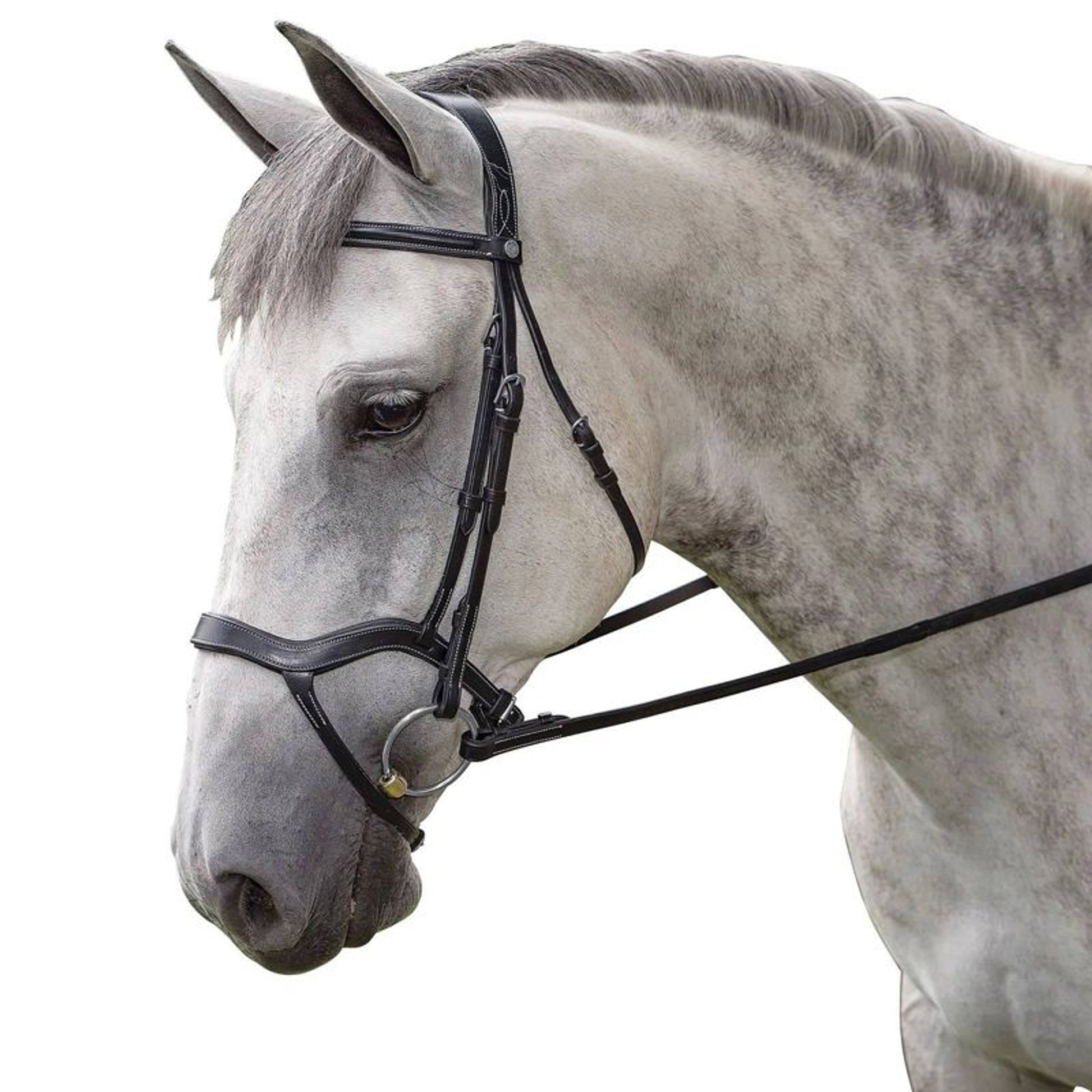 M. Toulouse Hybrid Dressage Bridle