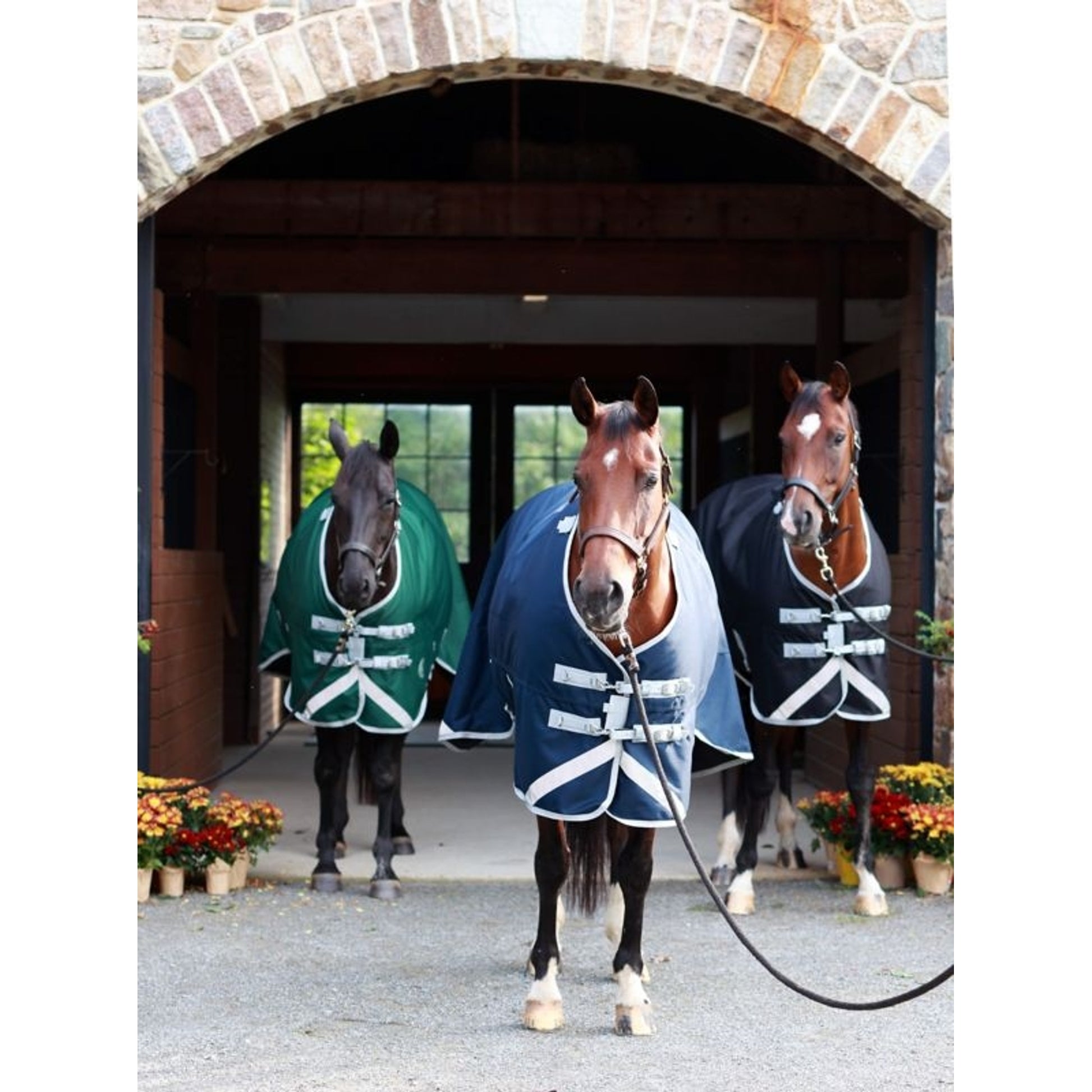 Centaur TG1 Horse Blanket