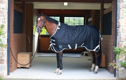 Centaur TG1 Horse Blanket