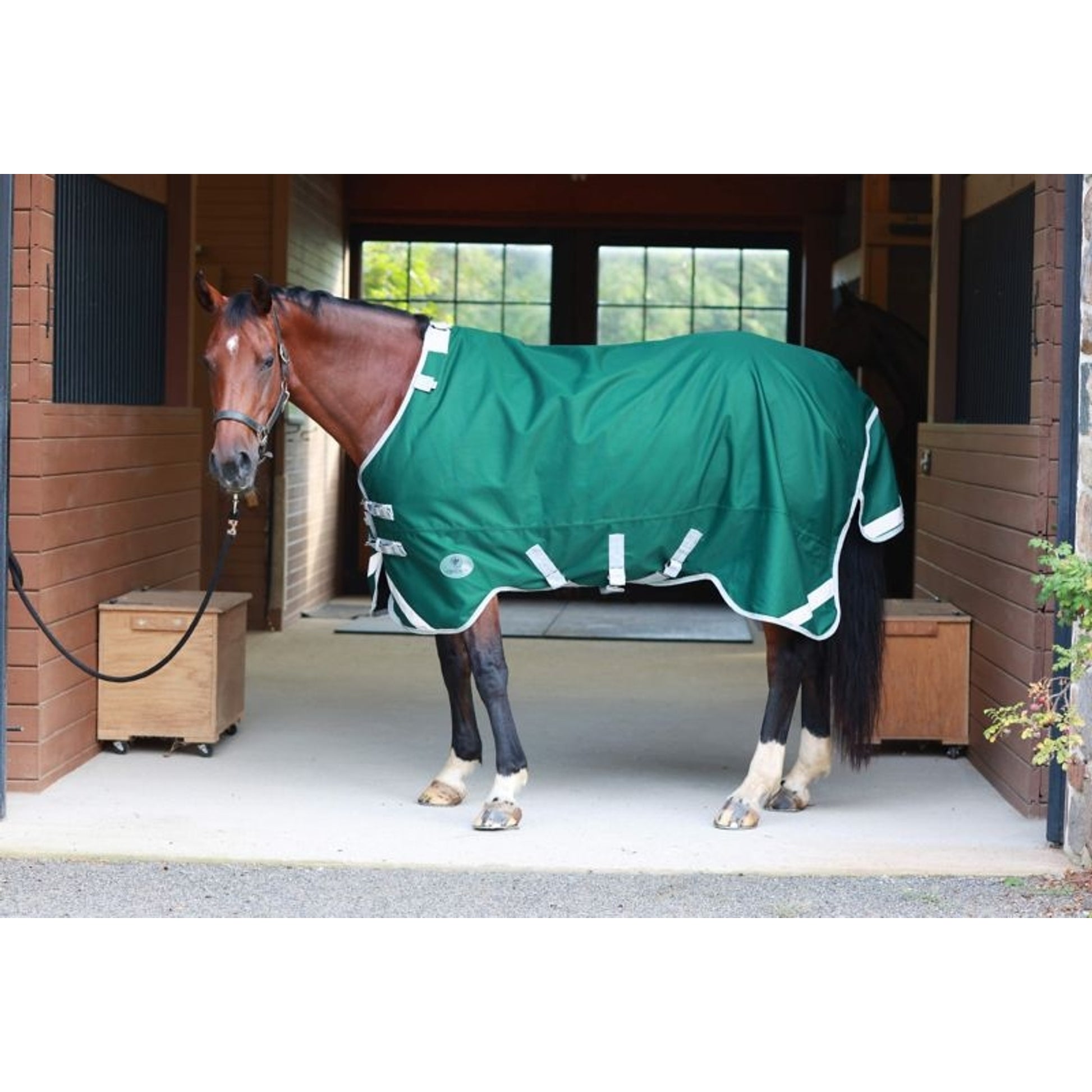 Centaur TG1 Horse Blanket