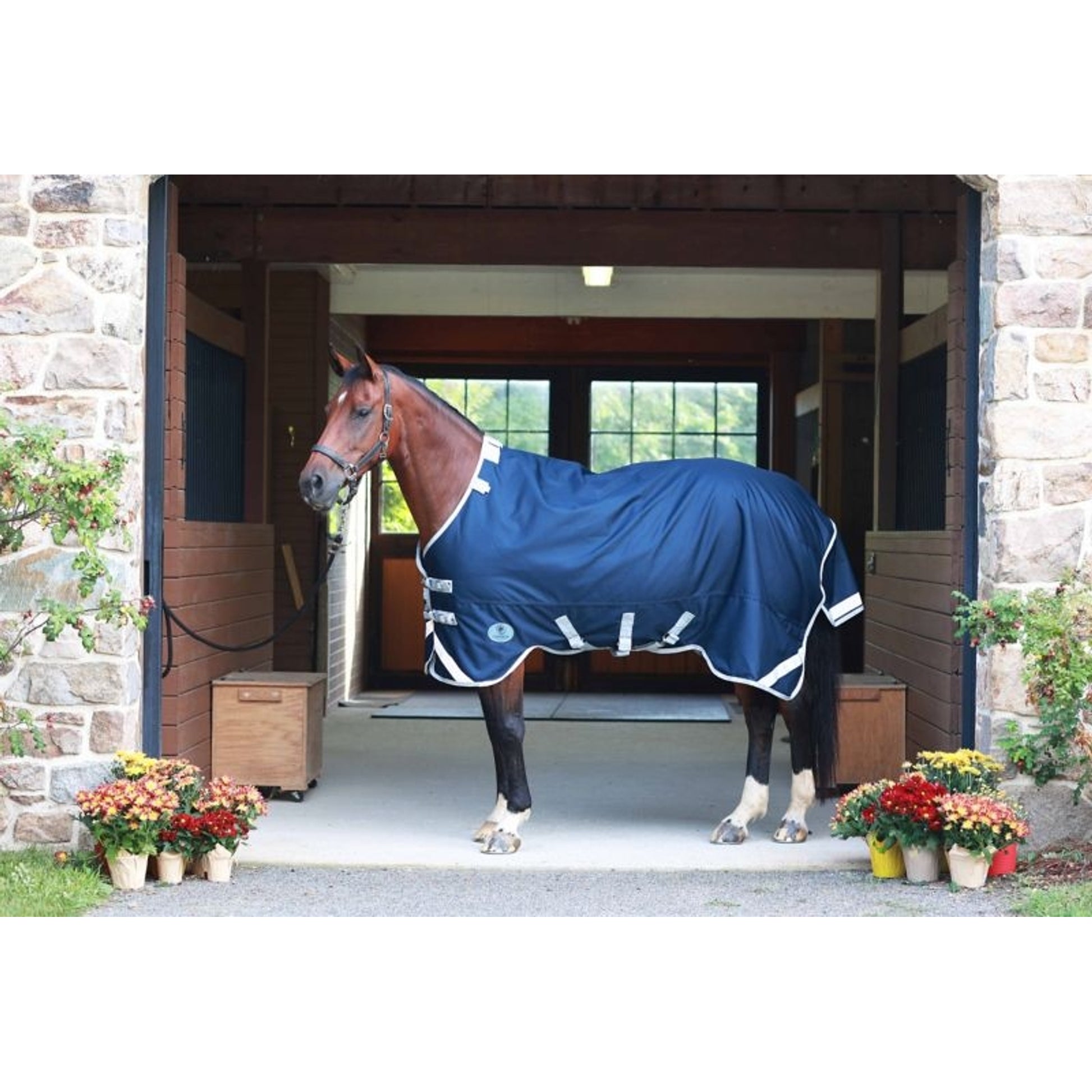 Centaur TG1 Horse Blanket