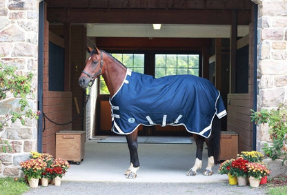 Centaur TG1 Horse Blanket