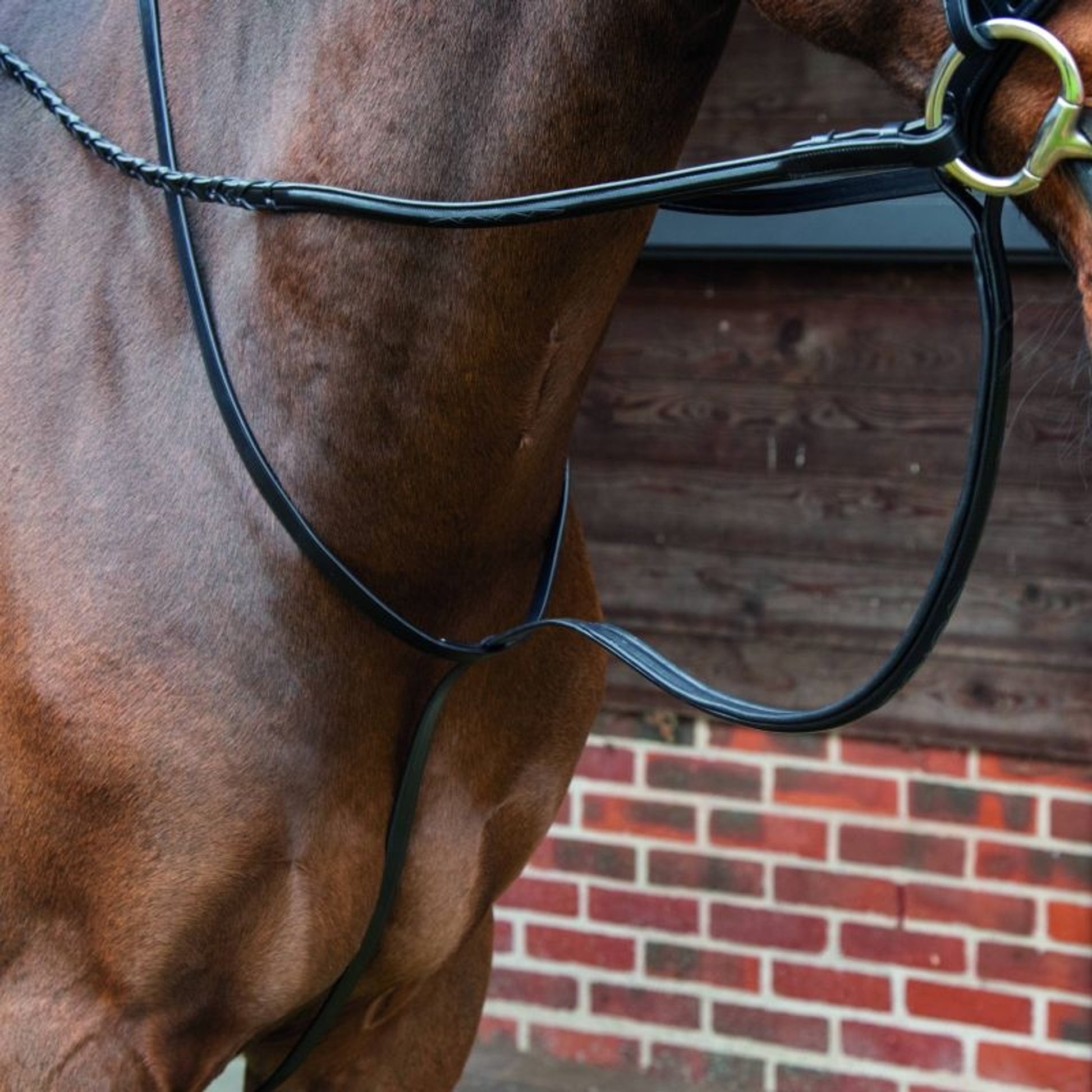 Shires Velociti Lusso Standing Martingale