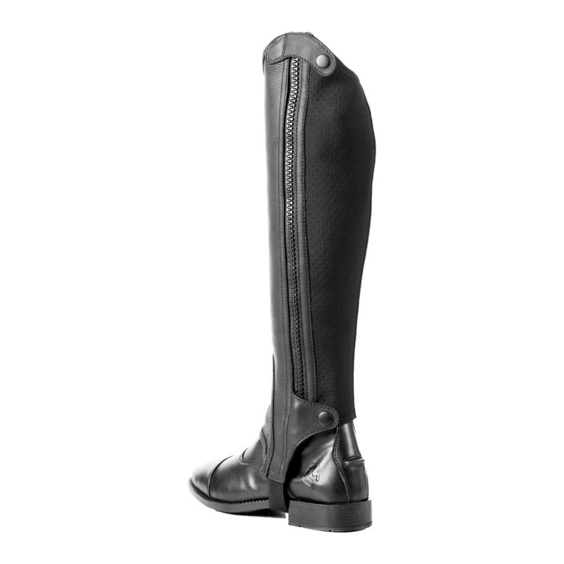 Equinavia Fia Womens Classic Half Chap