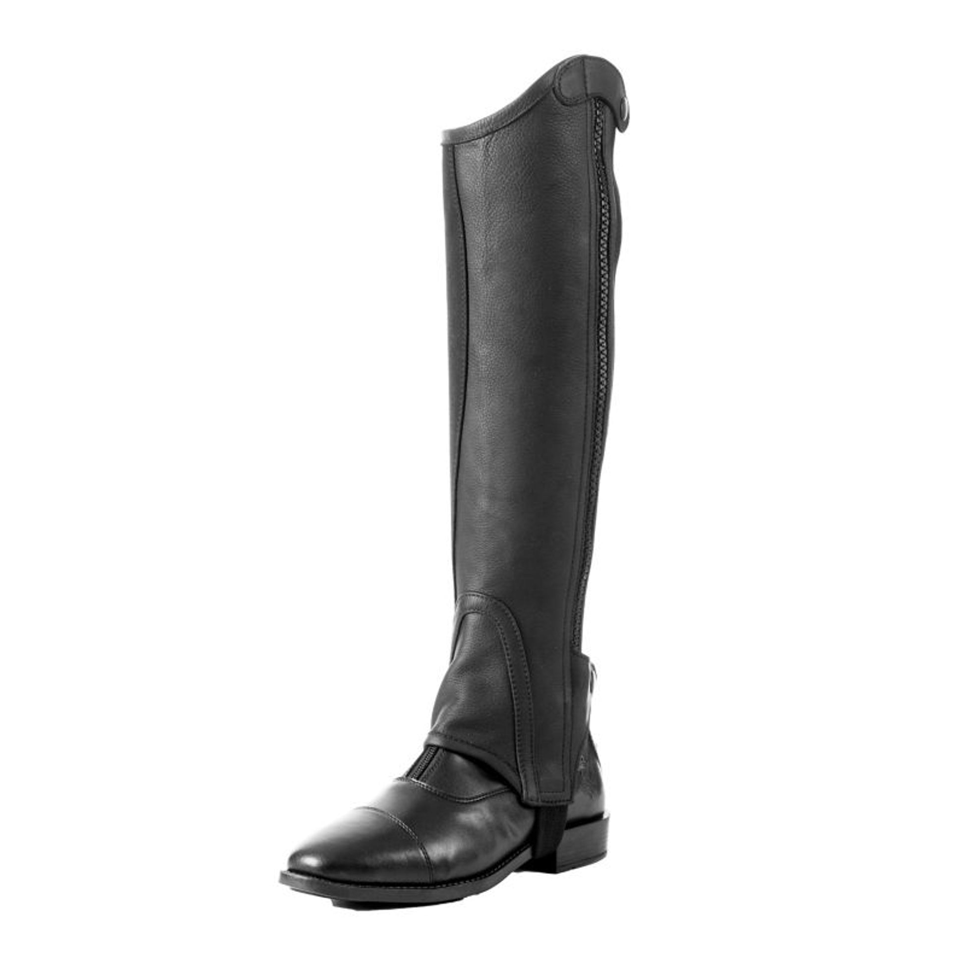 Equinavia Fia Womens Classic Half Chap