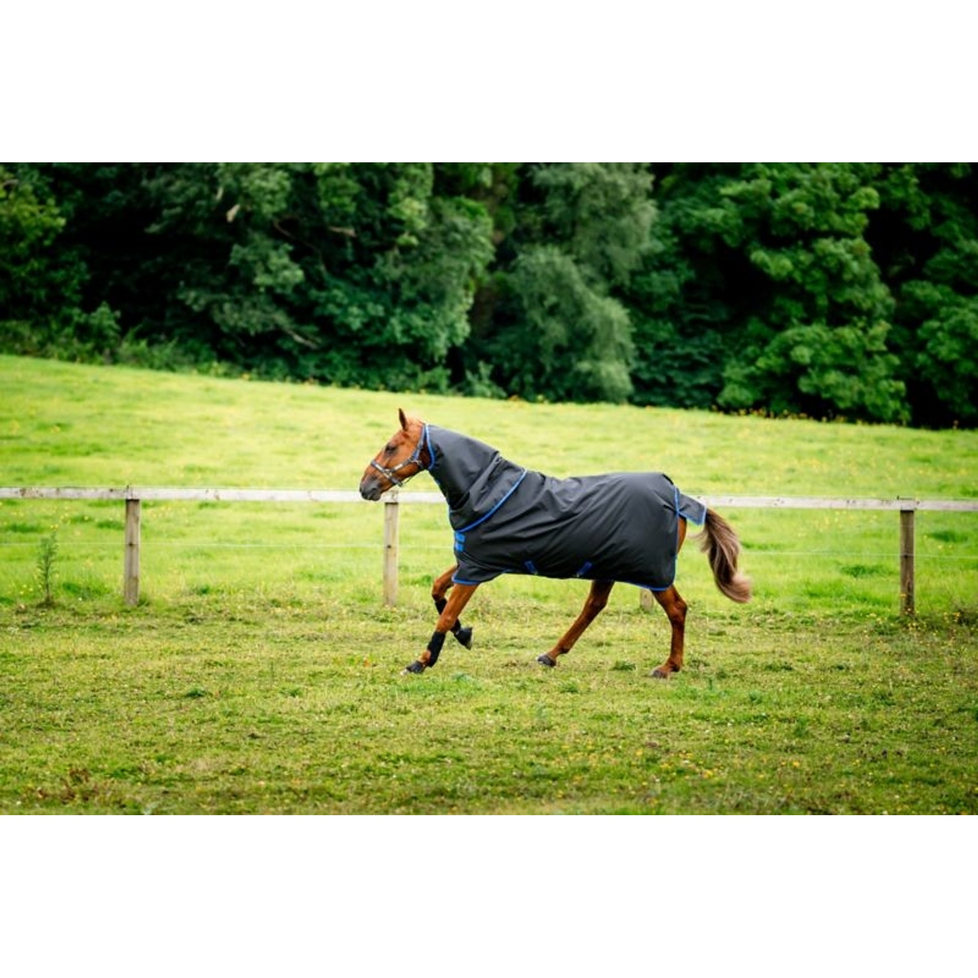 Amigo Ripstop 900 Plus Turnout 100g