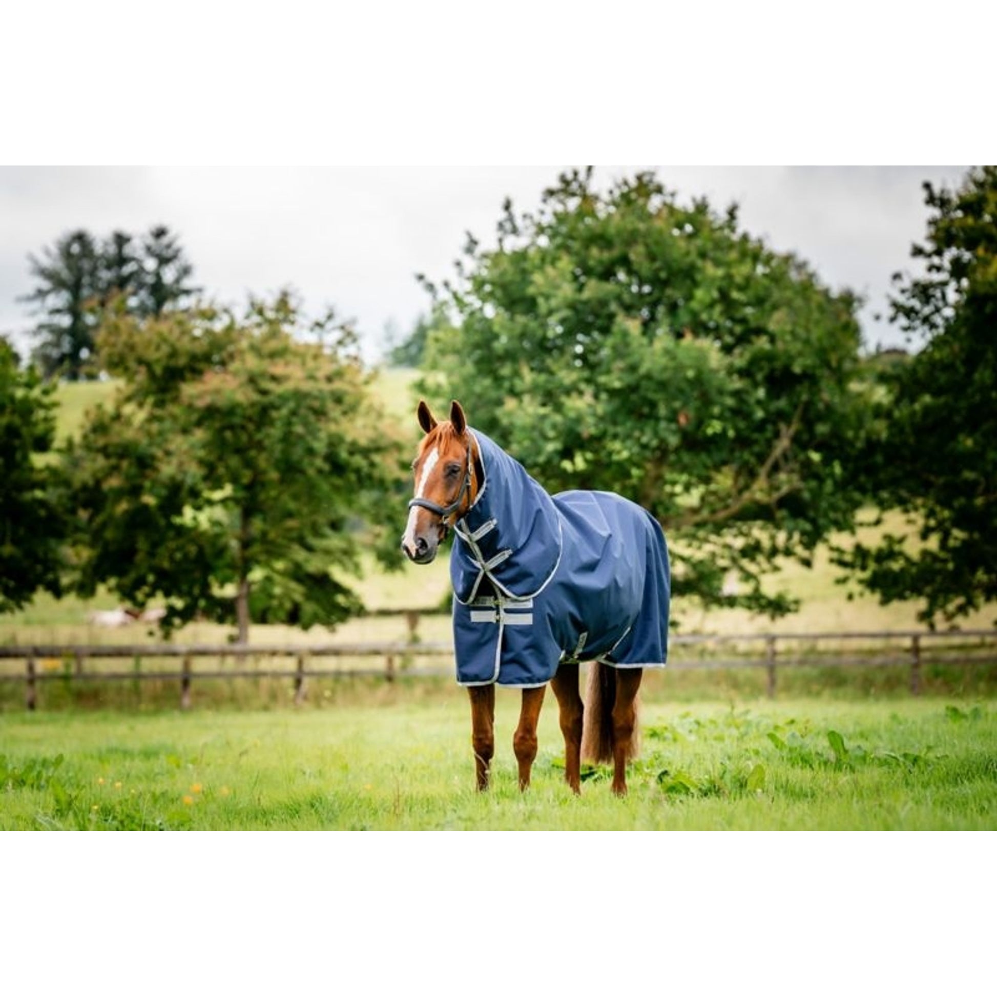 Amigo Ripstop 900 Plus Turnout 200g