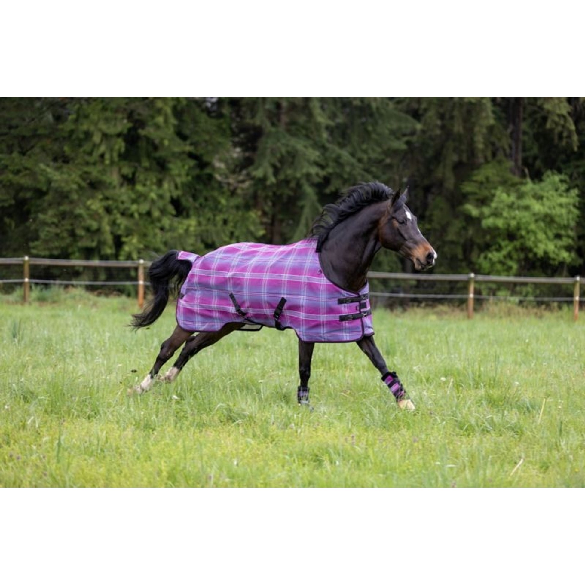 Kensington UV Protective Fly Sheet