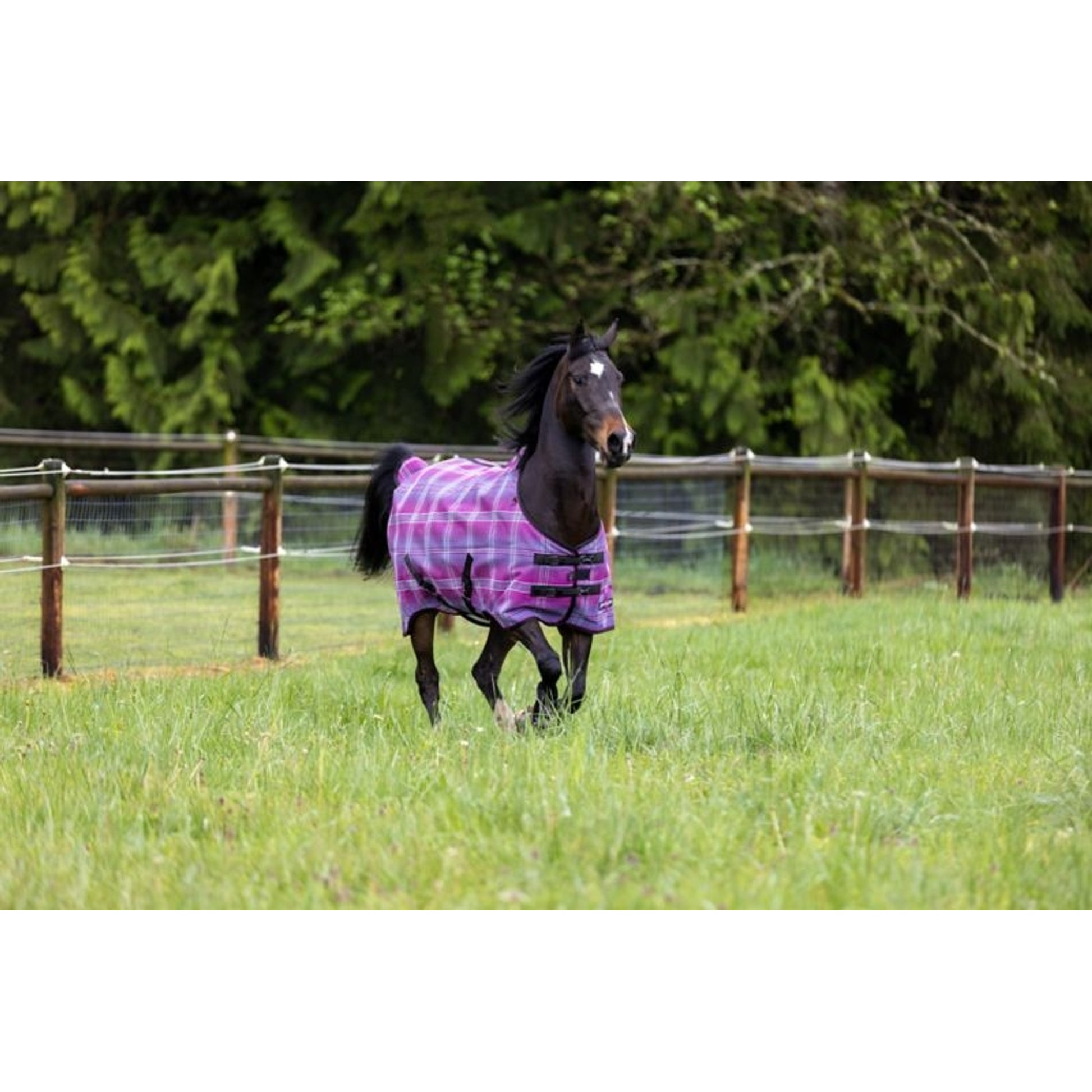 Kensington UV Protective Fly Sheet
