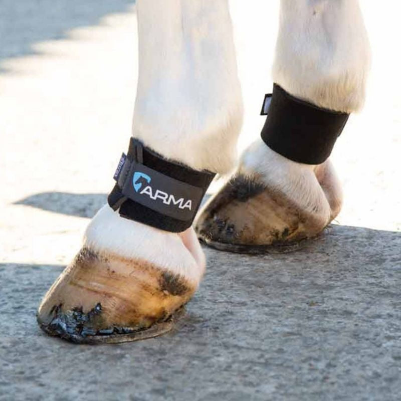 Shires Arma Pastern Wraps Black One Size