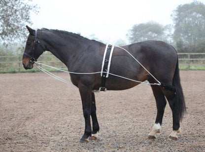 Shires Lunging Aid White