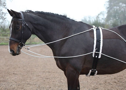 Shires Lunging Aid White