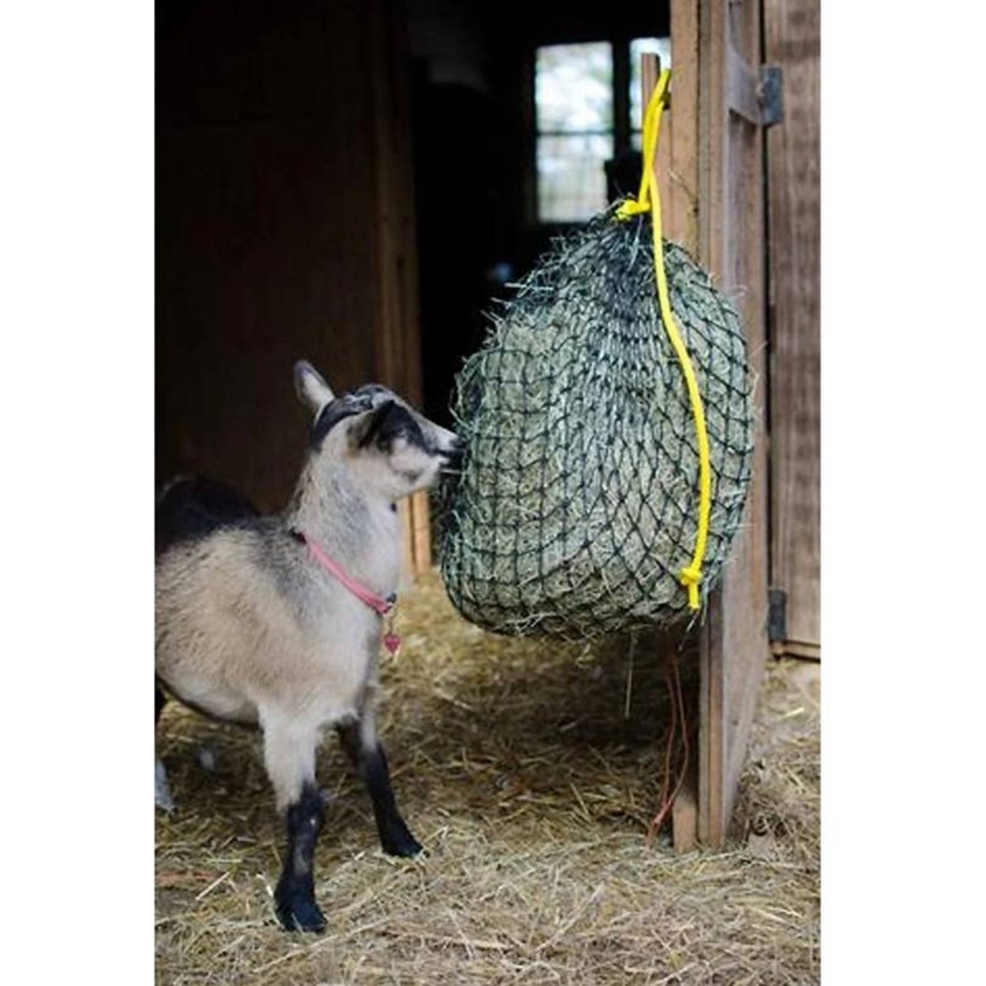 Texas Haynet Economy Hay Net Black 7 X 3 X 3