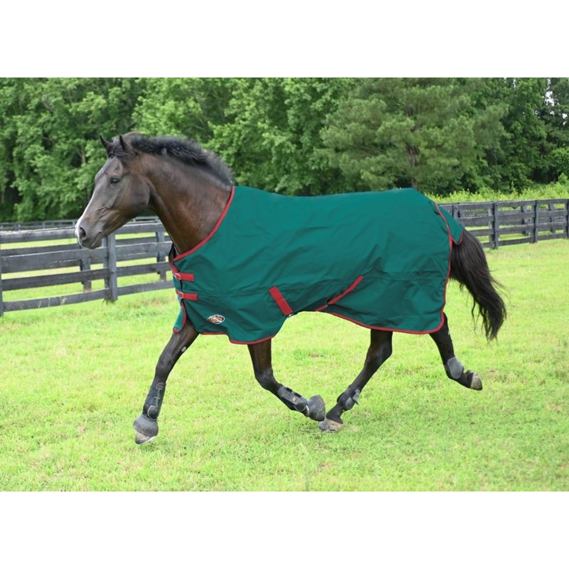 Gatsby Premium 1200D Waterproof Turnout Sheet