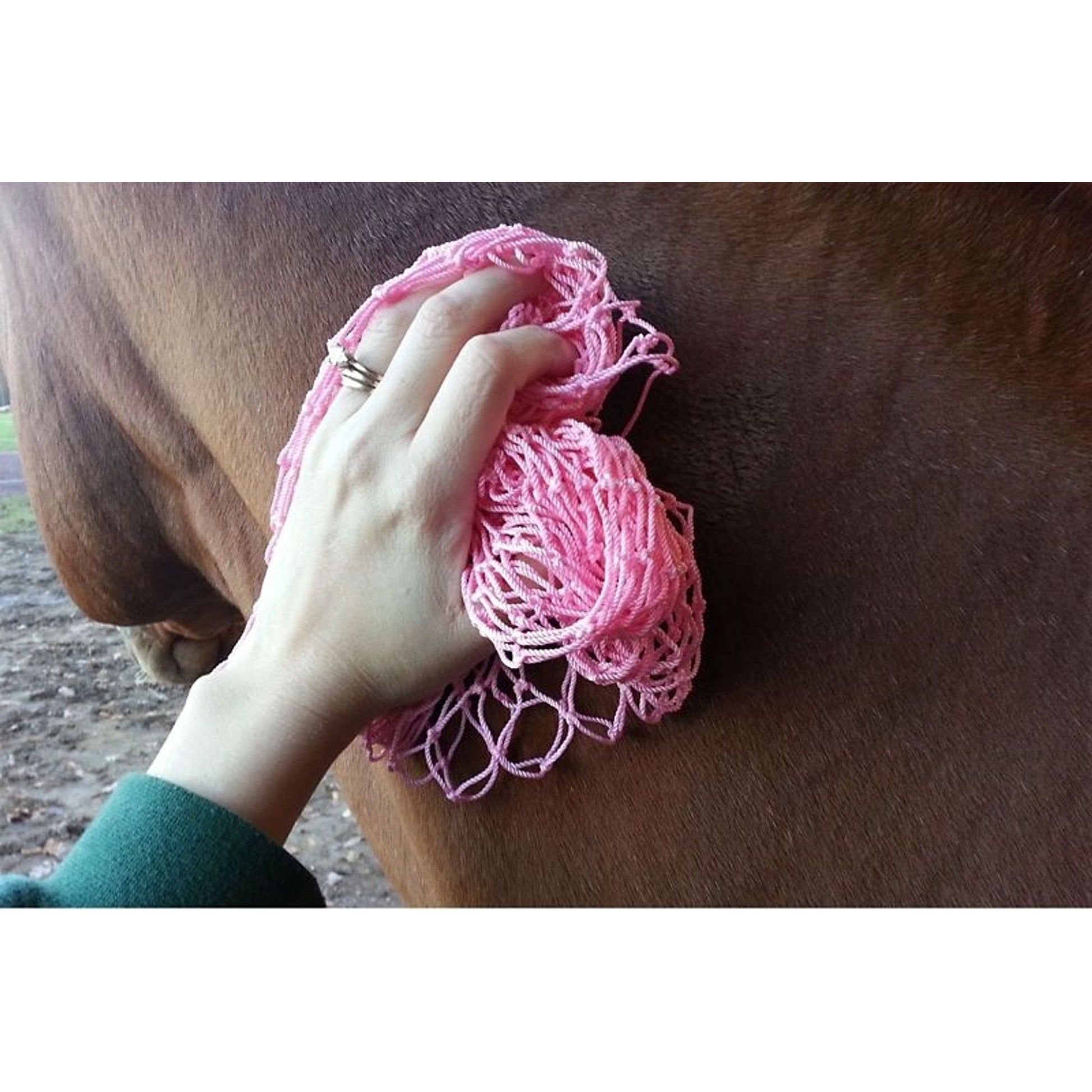 Equiessentials Magic Groom Net