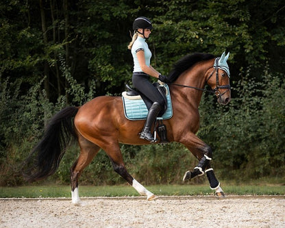 QHP Astana Leg Splint Boots