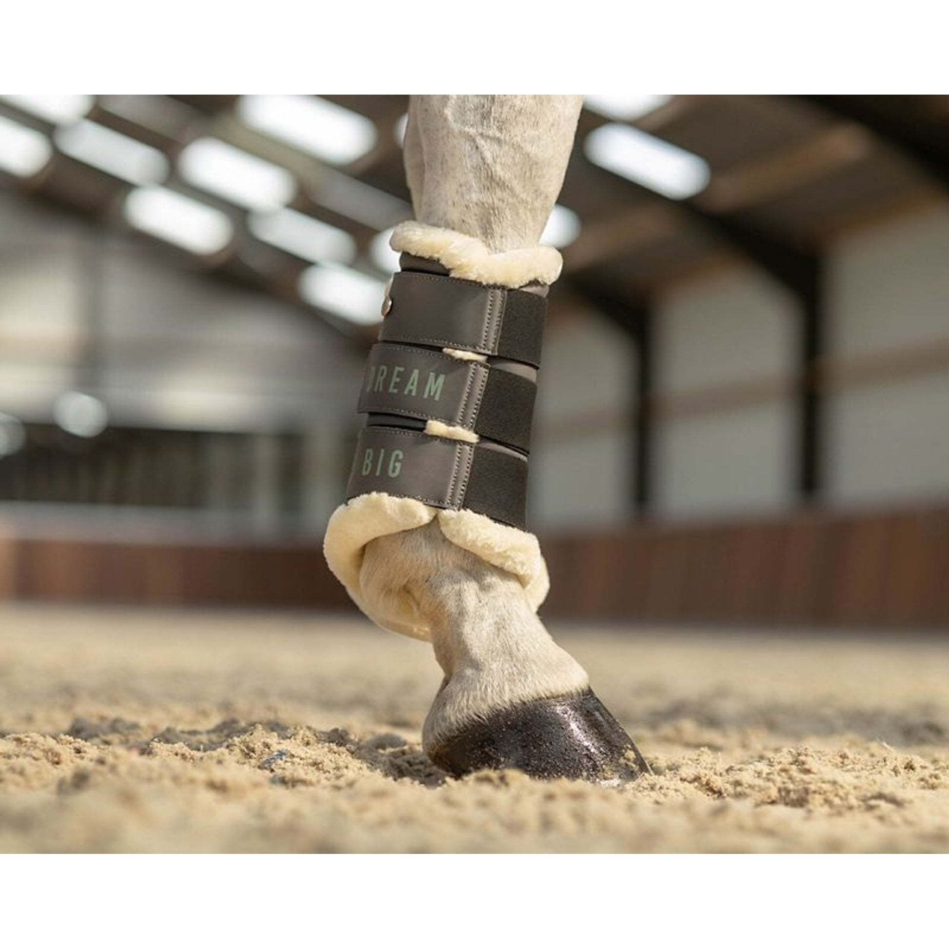 QHP Equestrian Dream Splint Boots