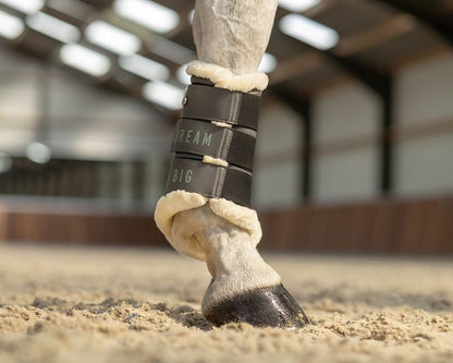 QHP Equestrian Dream Splint Boots
