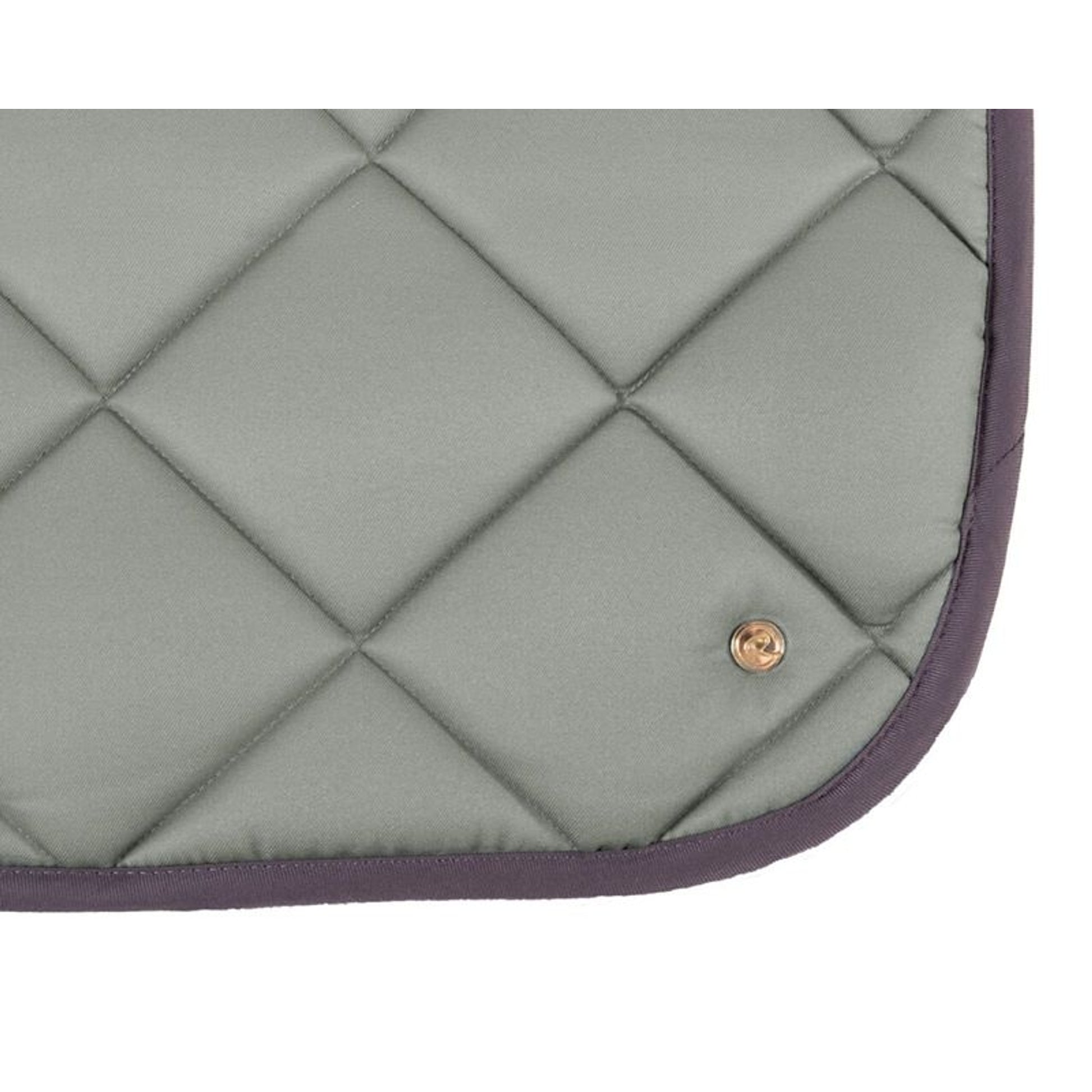 QHP Equestrian Dream Dressage Pad