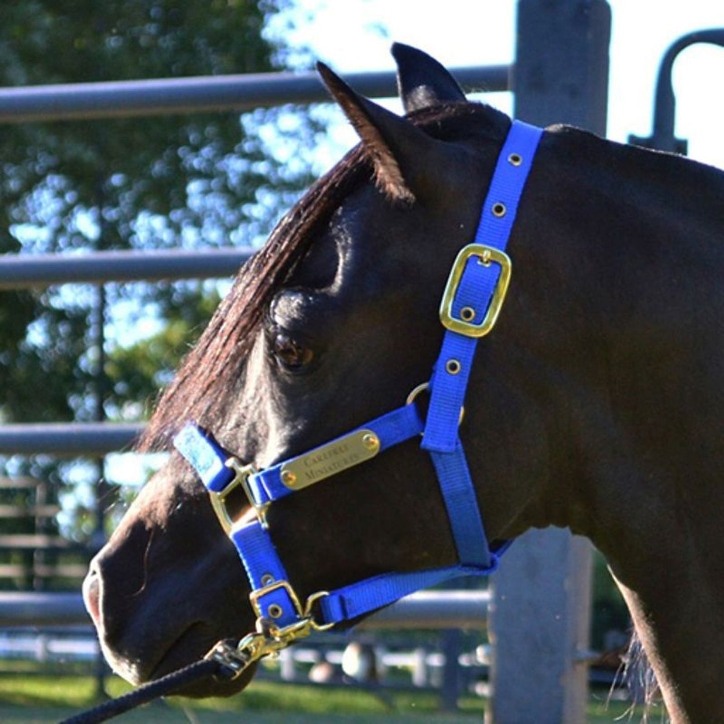 TE057383_EBL_01_P.jpg