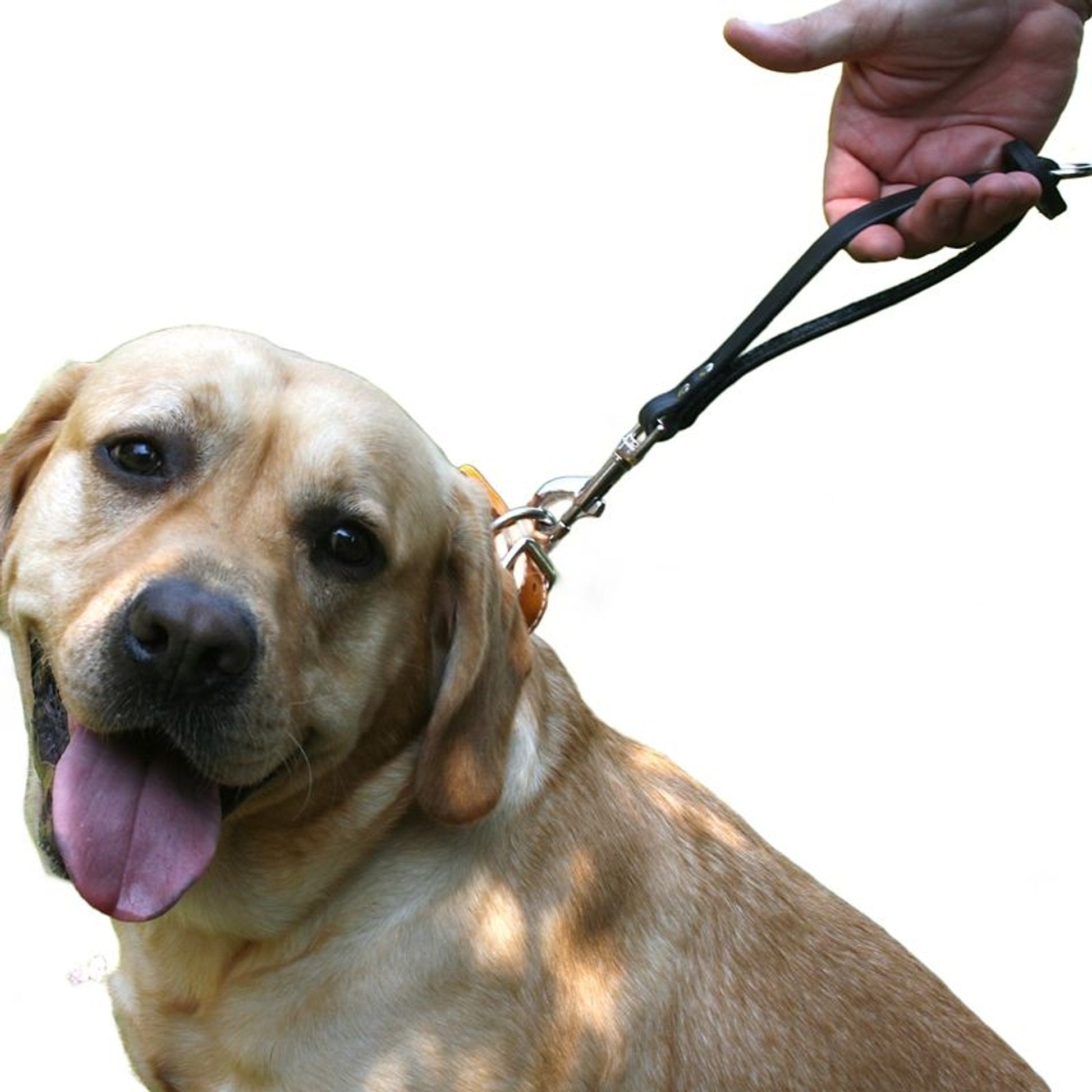 Leather Brothers Hold-Em-Close Dog Handle