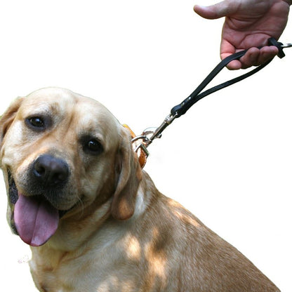 Leather Brothers Hold-Em-Close Dog Handle