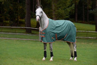 Weatherbeeta ComFiTec Tyro Standard Neck Lite Plus Turnout