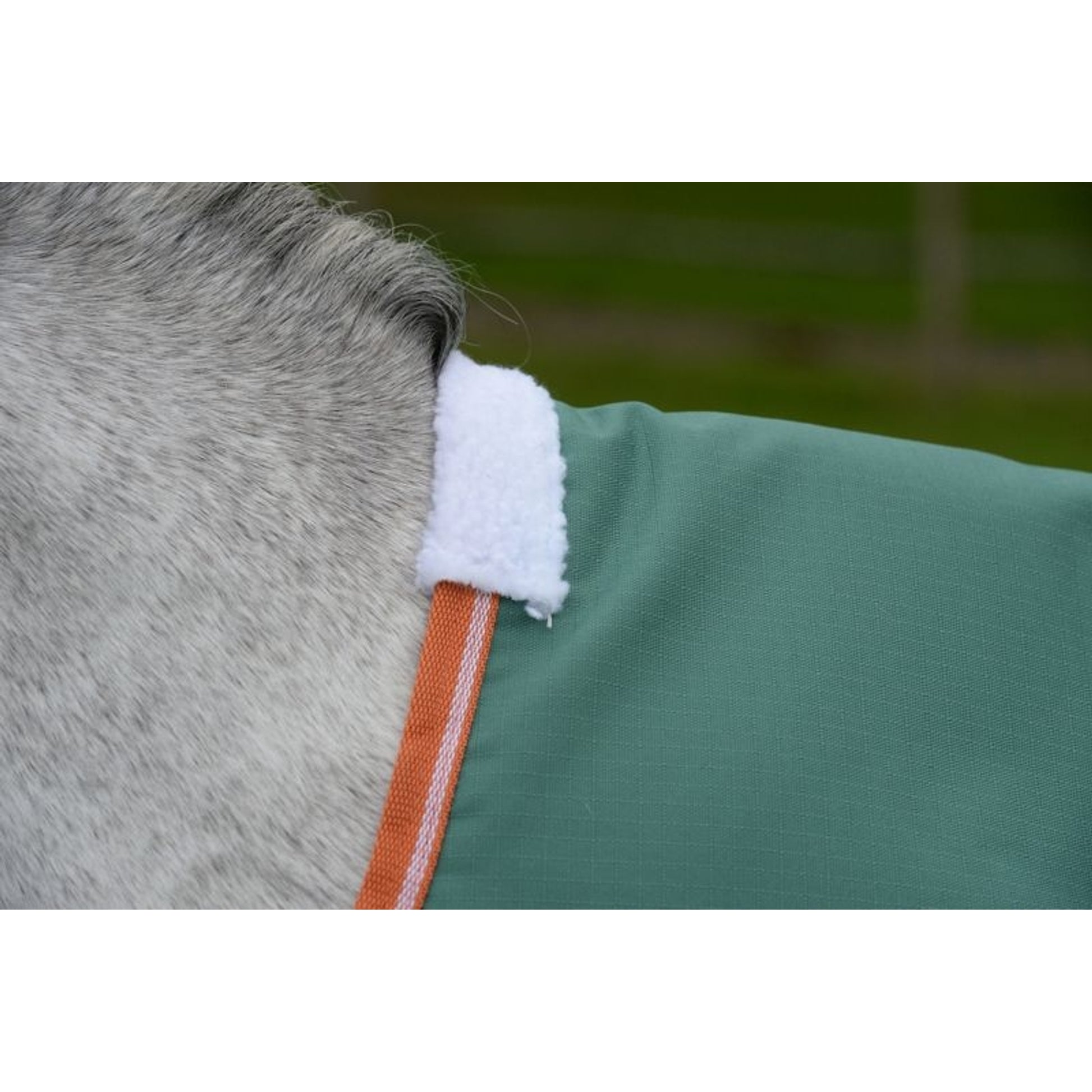 Weatherbeeta ComFiTec Tyro Standard Neck Lite Plus Turnout
