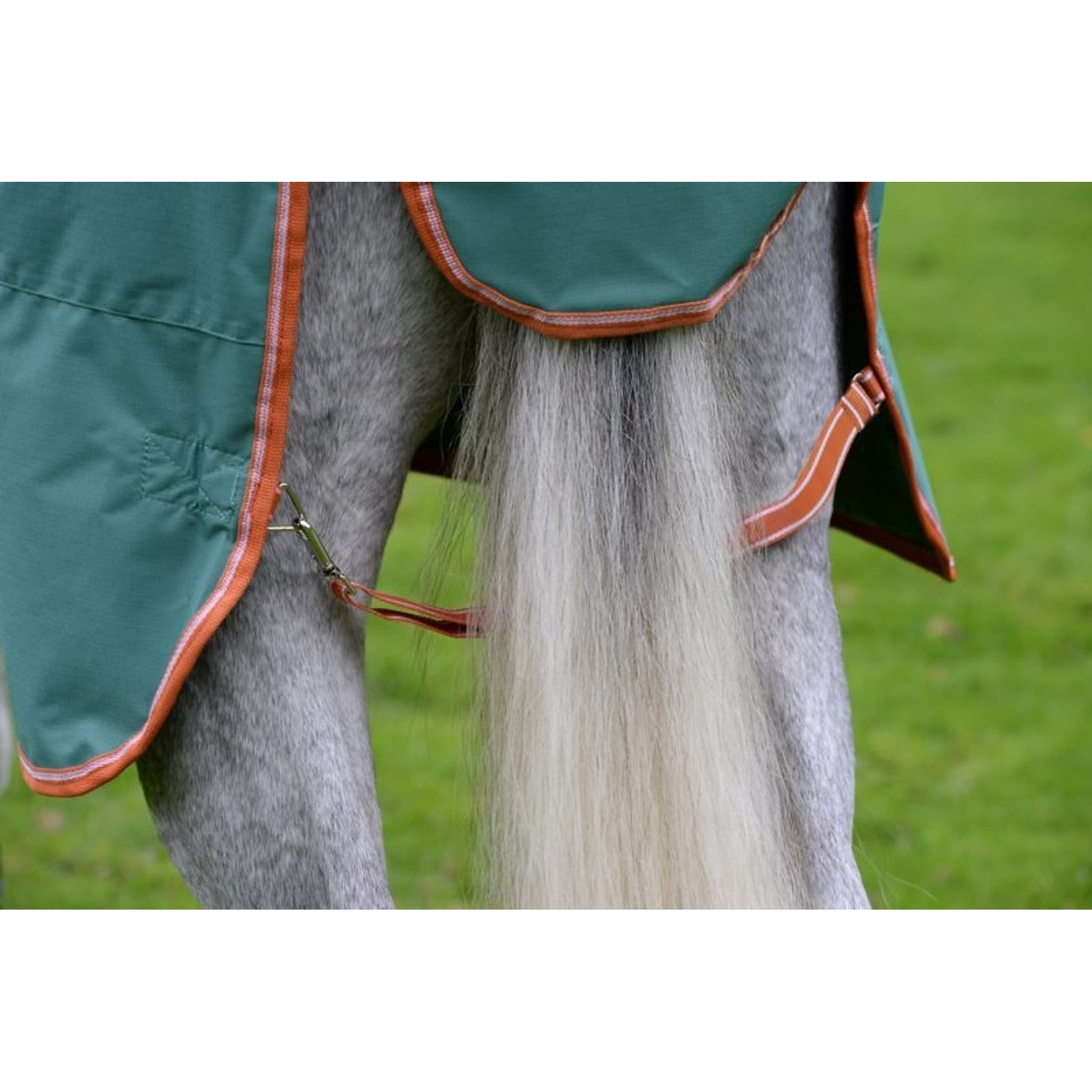 Weatherbeeta ComFiTec Tyro Standard Neck Lite Plus Turnout