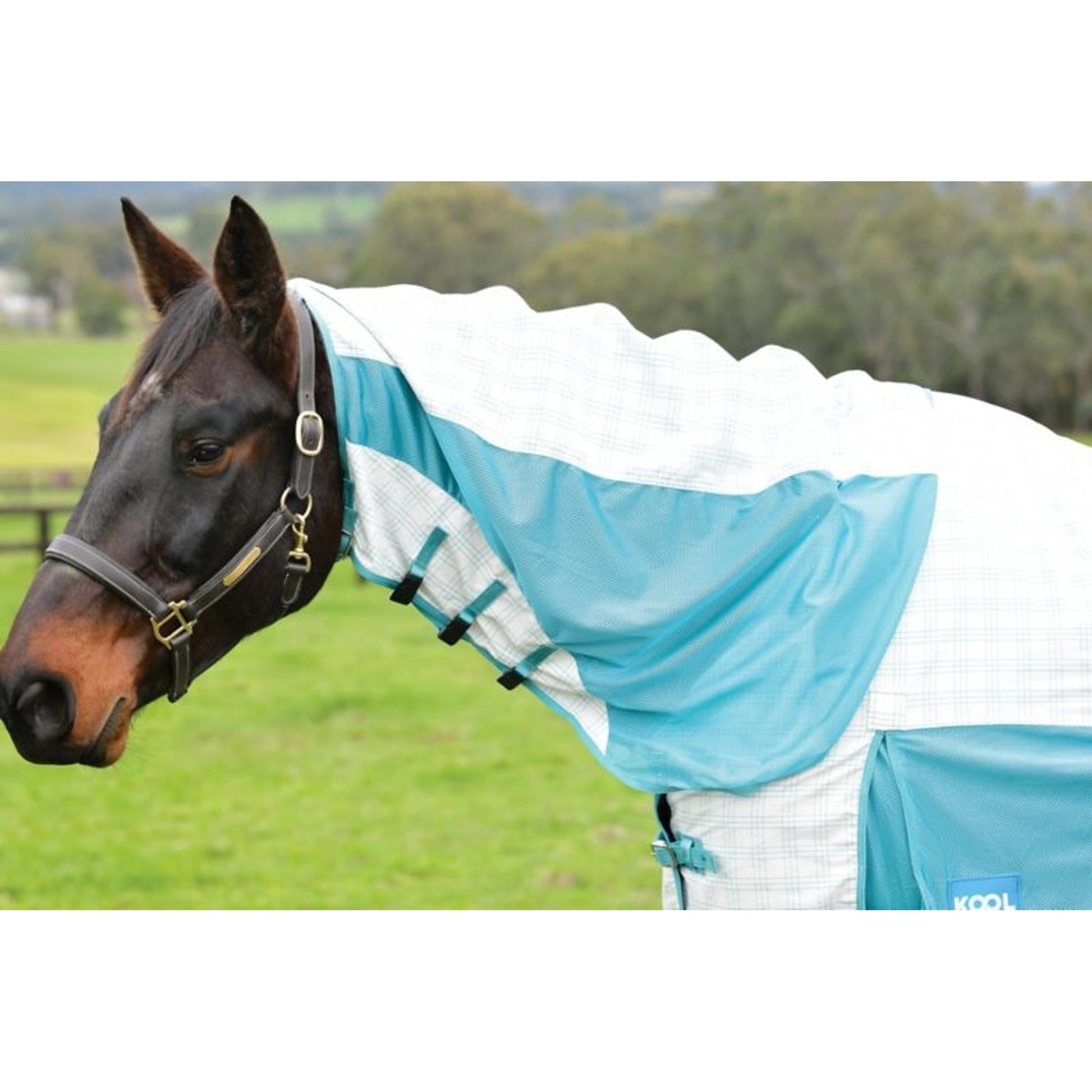 Kool Coat Cotton Airstream II DAN