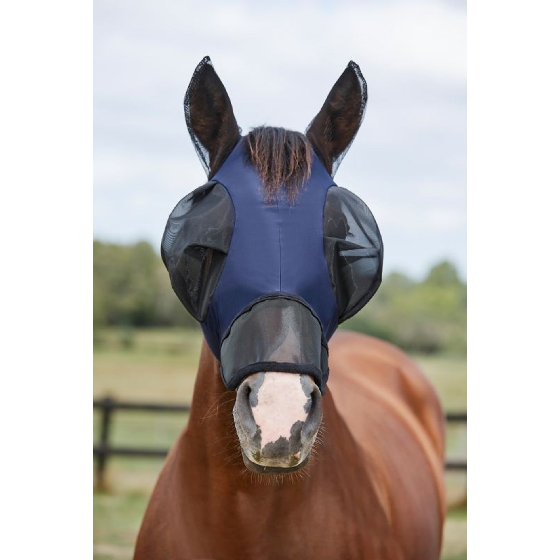 Weatherbeeta ComFiTec Luxe Bug Eye Saver With Ears And Nose