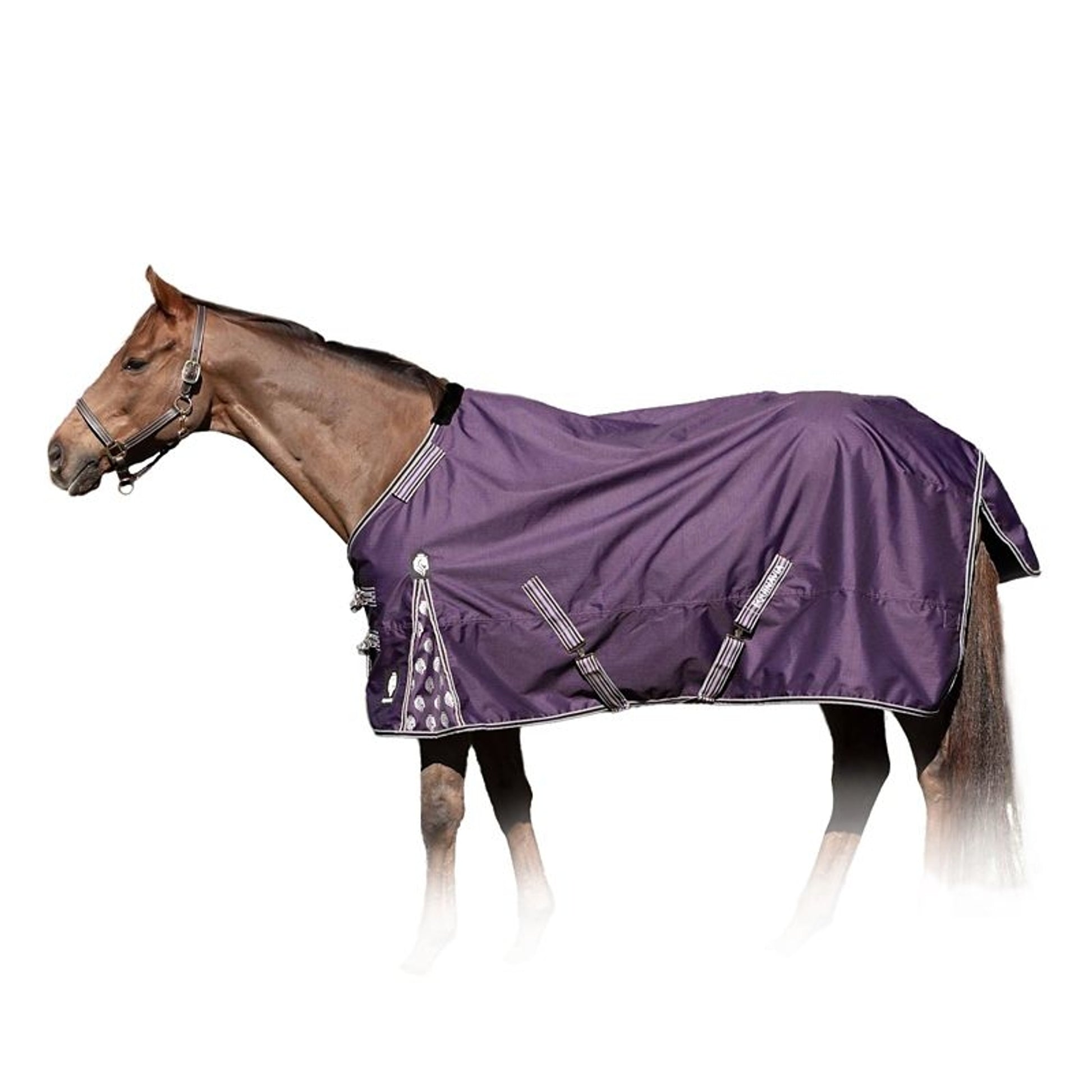 Equinavia Norse MidWeight TO Blanket 200g