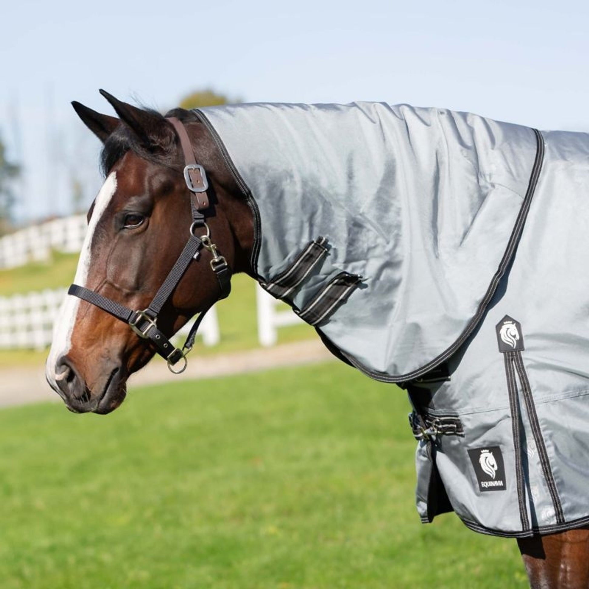 Equinavia Thunder 360 DAN TO Sheet