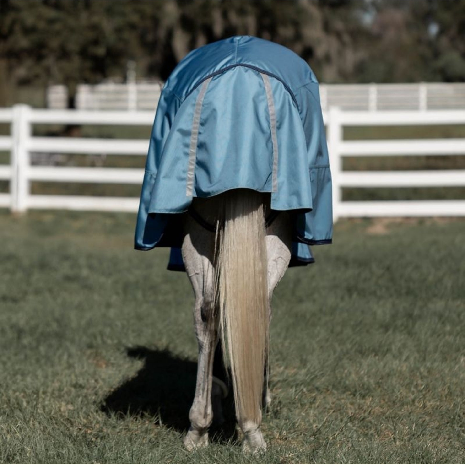 Equinavia Thunder 360 DAN TO 100g