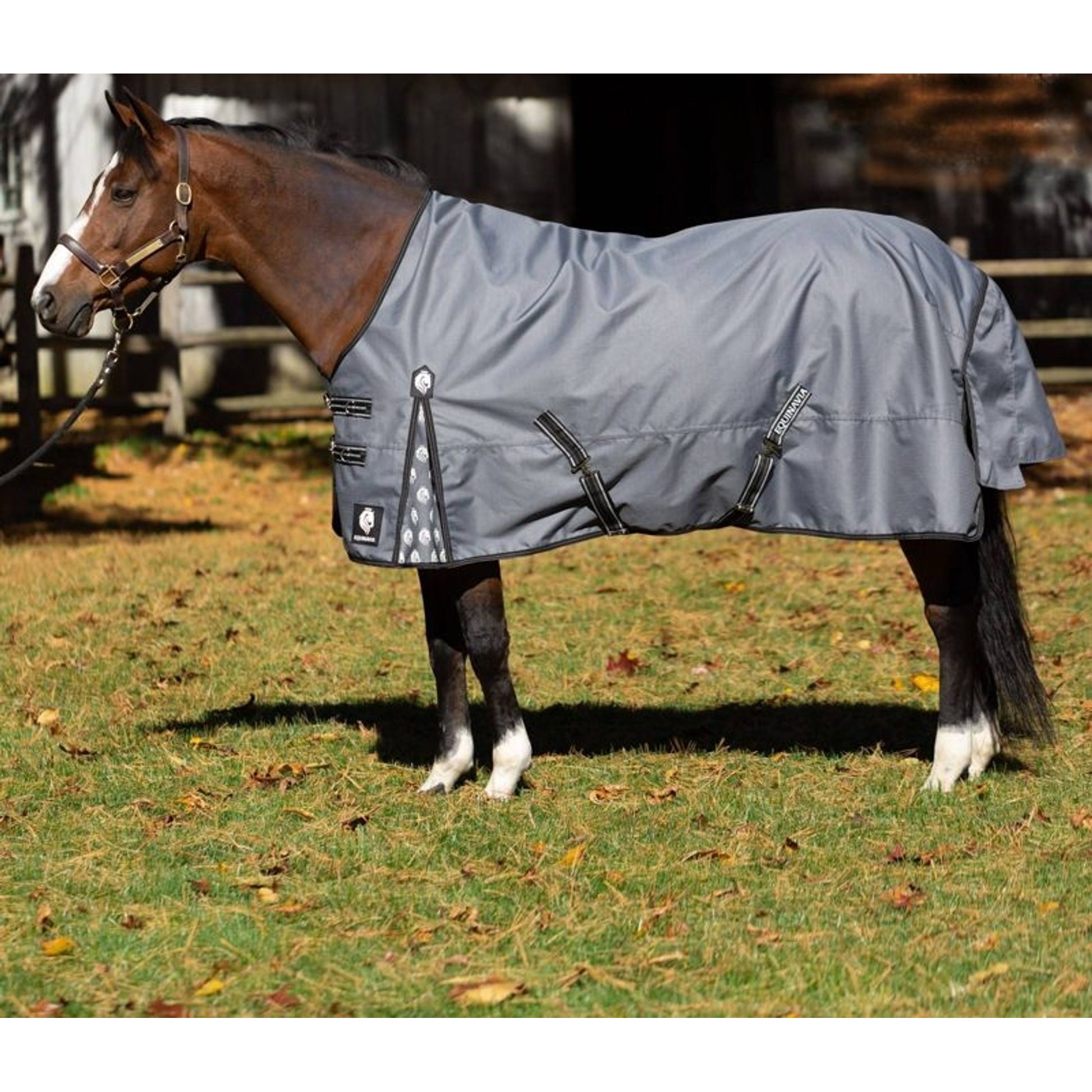 Equinavia Arktis TO Blanket 200g