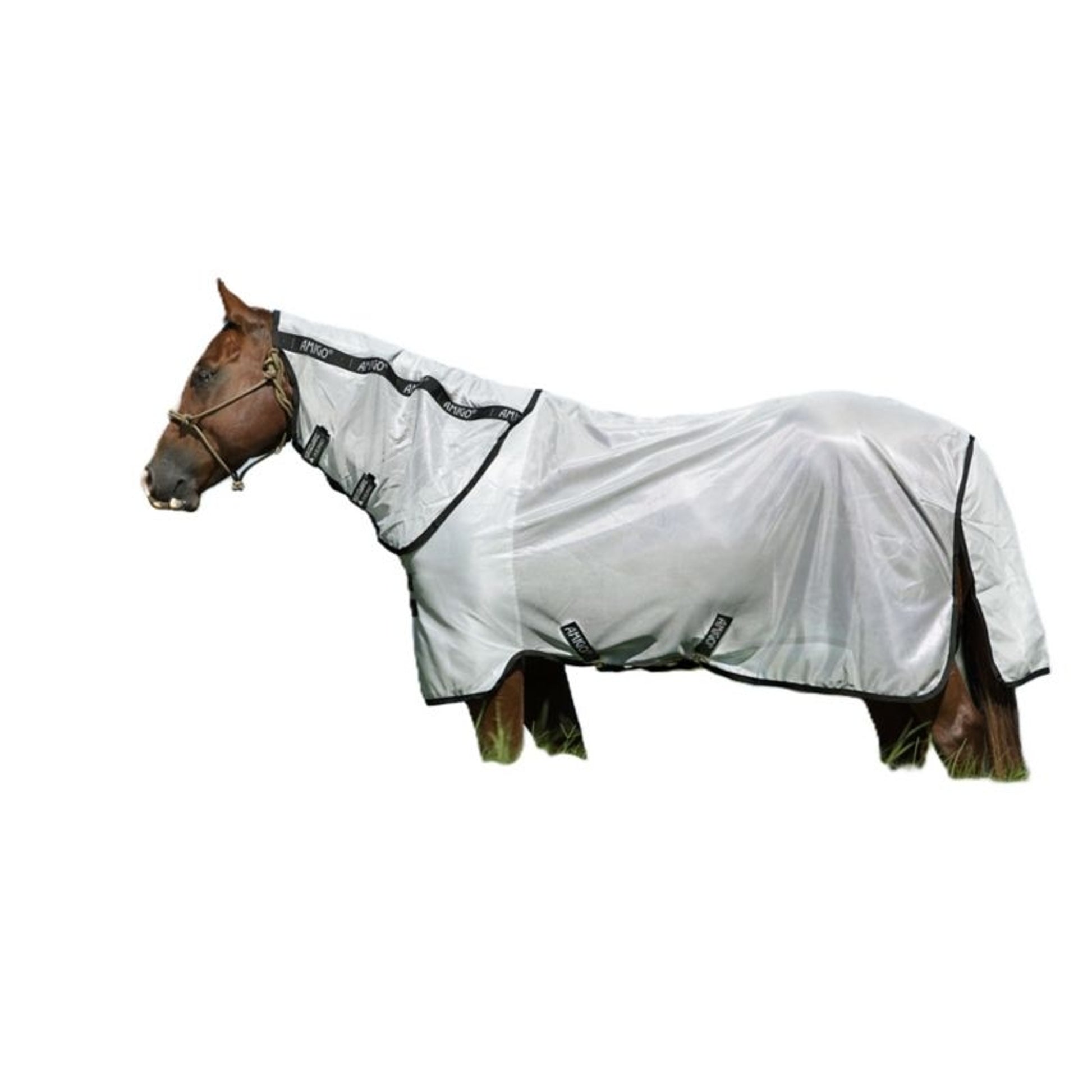 Amigo Bug Rug Stock Horse Plus Fly