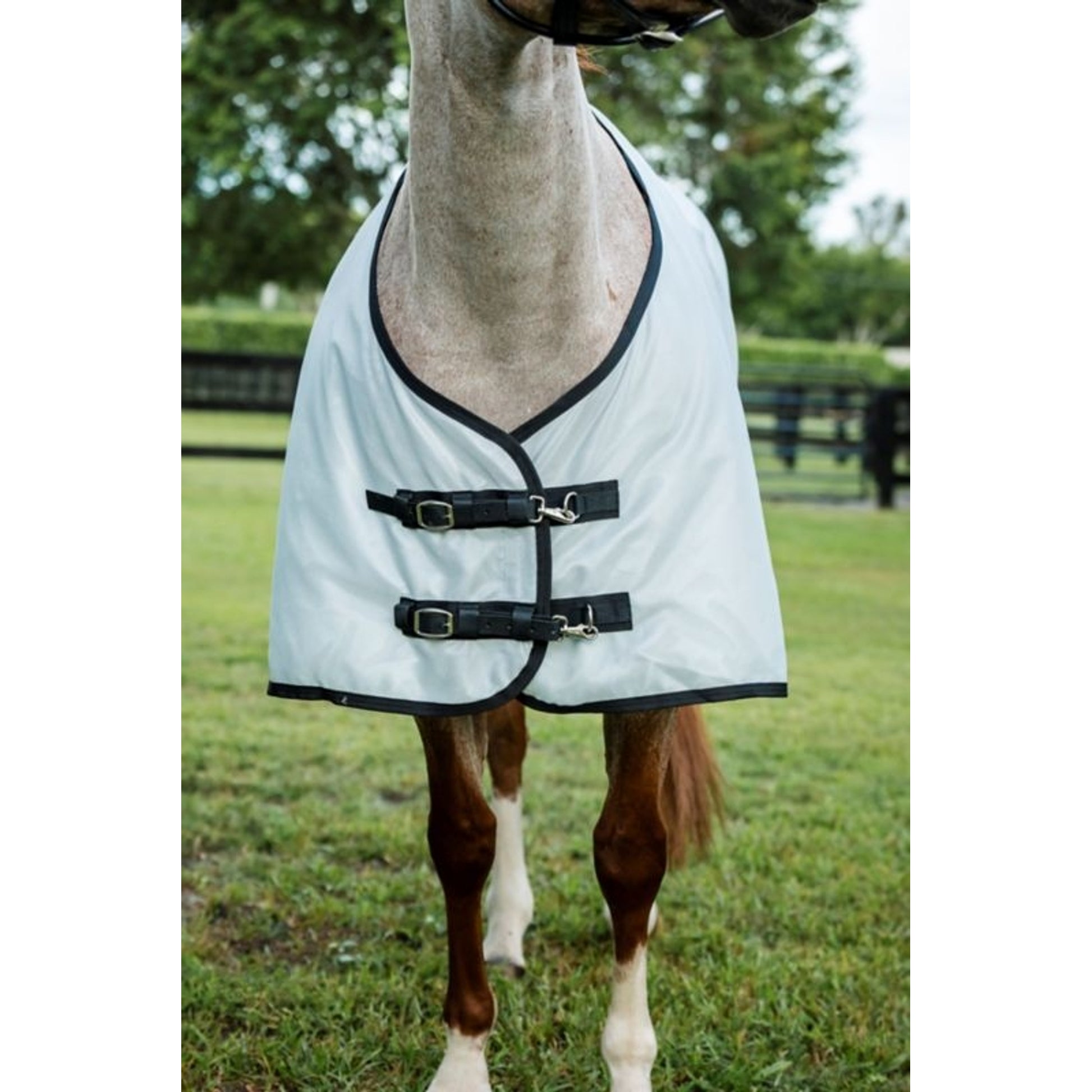 Amigo Bug Rug Stock Horse Plus Fly